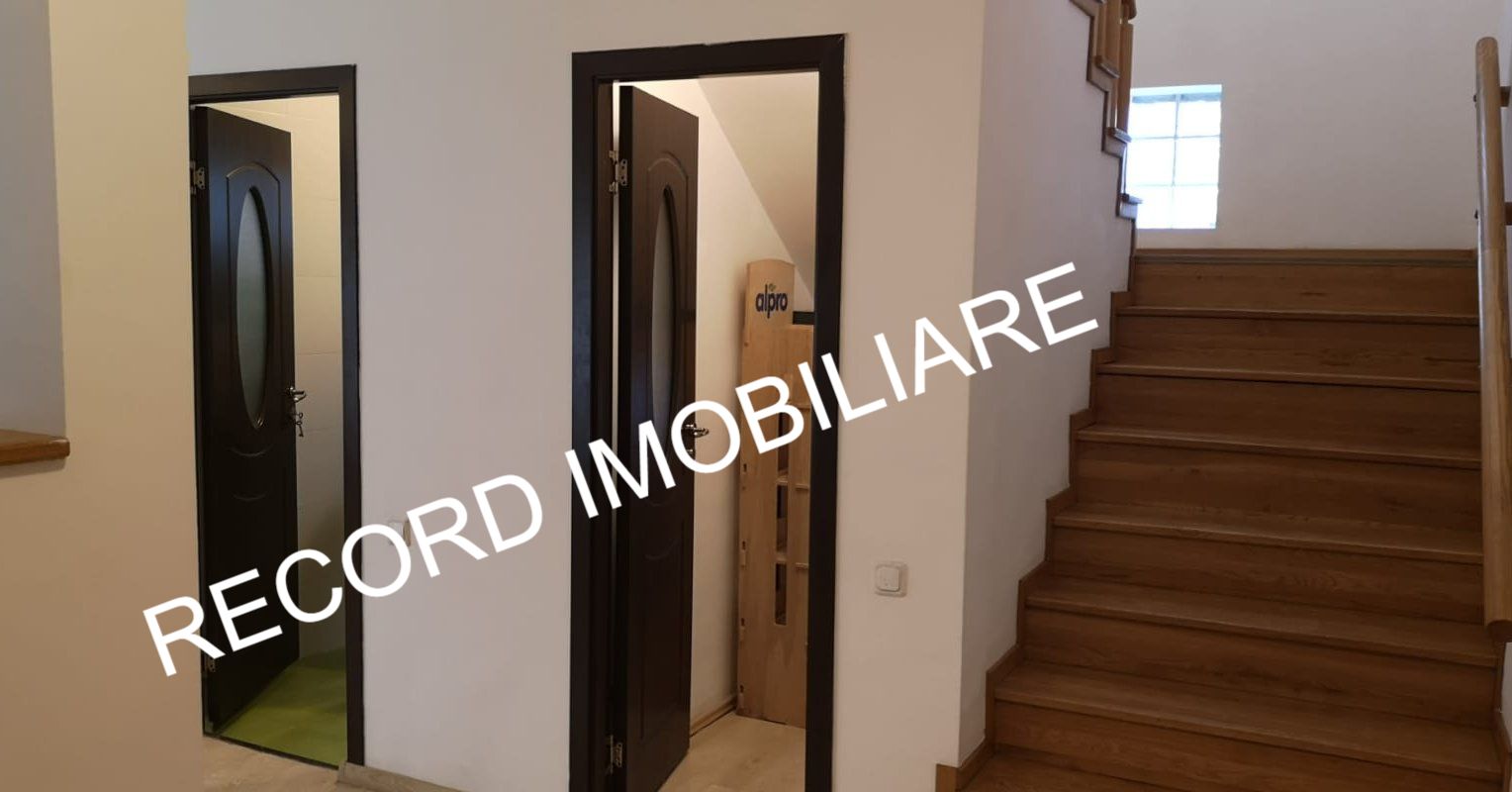 banner-image