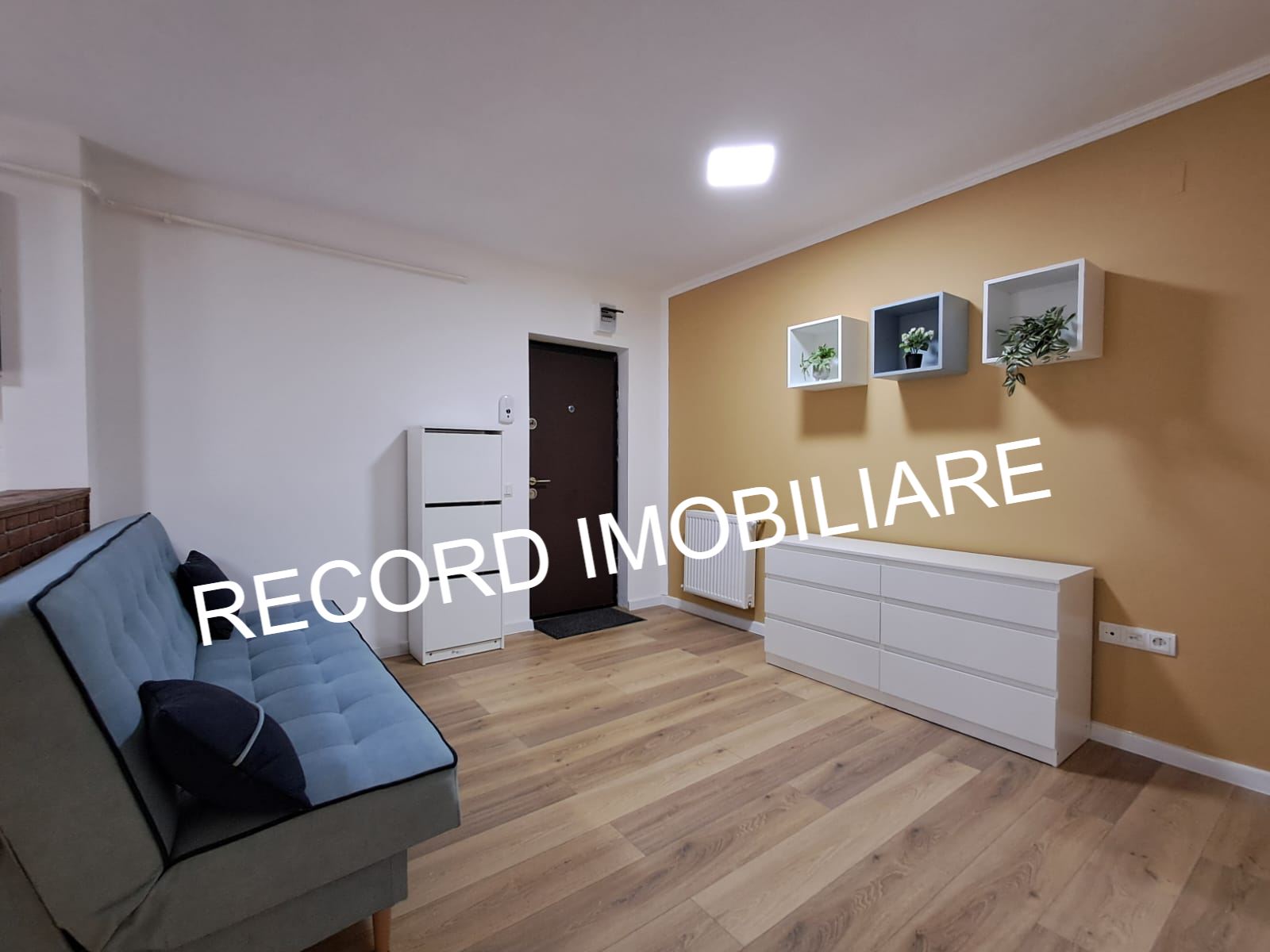 banner-image