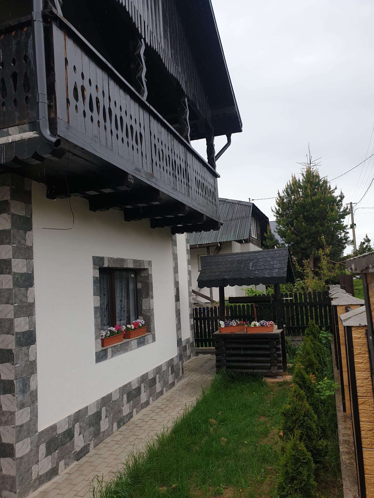 banner-image