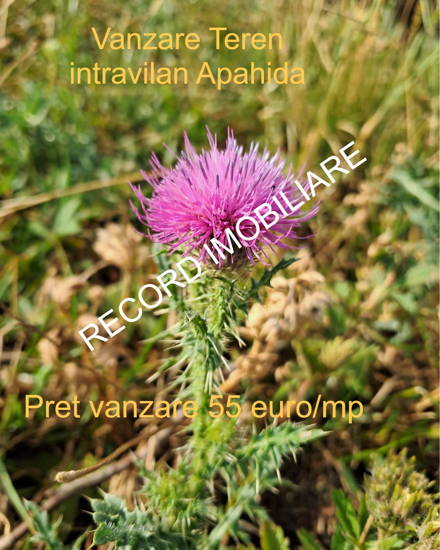 Post Feature Image